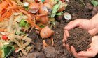 ImagebymelGreenFRfromPixabaycompost6053136_1280.jpg