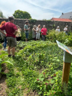 causeriedcouverte_sur_les_vertus_des_plantes_mdicinales_31052025.png