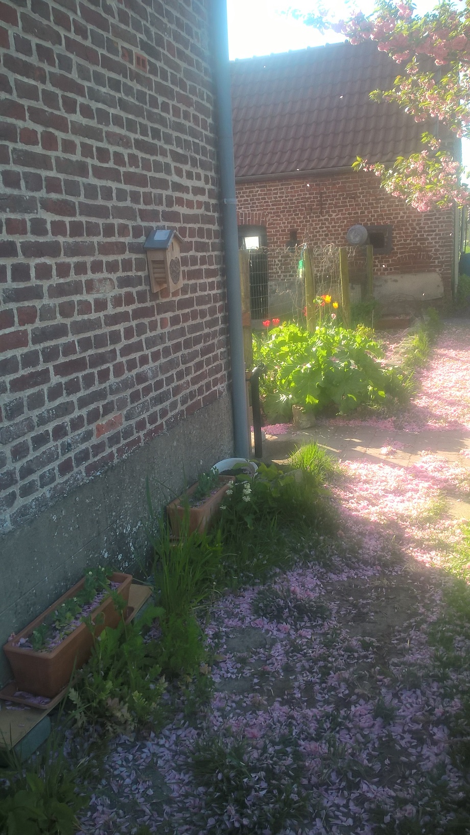 EcojardinSameon_wp_20190424_09_41_33_pro.jpg