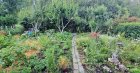 20260610_190032.jpg