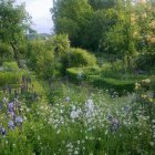 Jardin_2.jpg